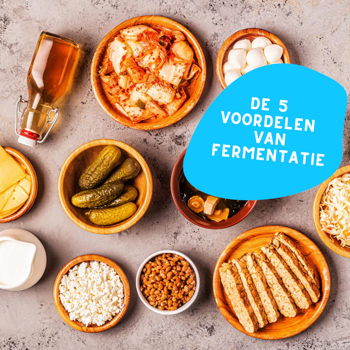 de voordelen van fermentatie