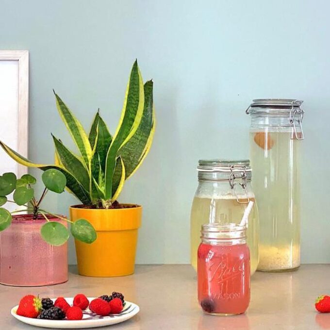 verfrissende waterkefir