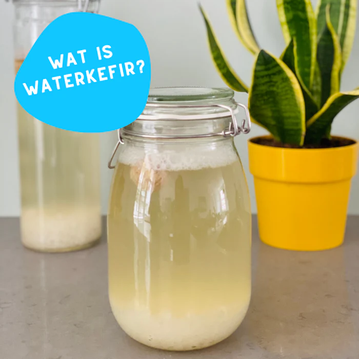 Wat is waterkefir?